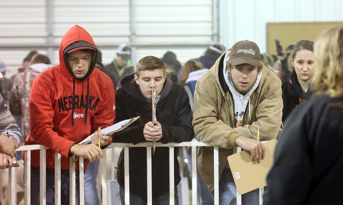 FFA Livestock Judging (17).JPG